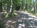 La Vélovoie de la Forêt d'Orient